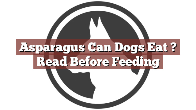 Asparagus Can Dogs Eat ? Read Before Feeding