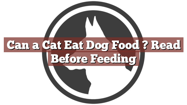 Can a Cat Eat Dog Food ? Read Before Feeding