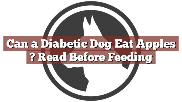 Can a Diabetic Dog Eat Apples ? Read Before Feeding
