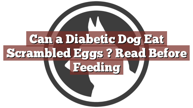 Can a Diabetic Dog Eat Scrambled Eggs ? Read Before Feeding