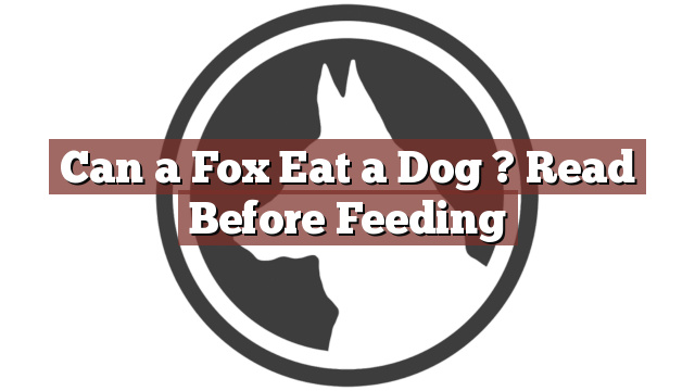 Can a Fox Eat a Dog ? Read Before Feeding
