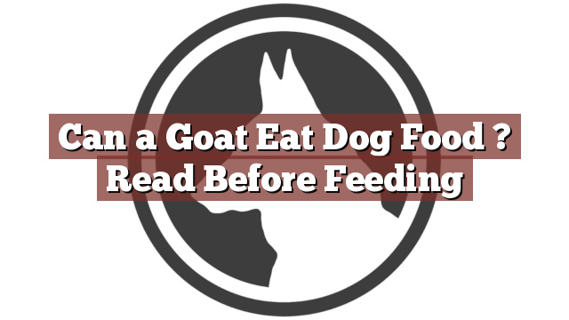 Can a Goat Eat Dog Food ? Read Before Feeding