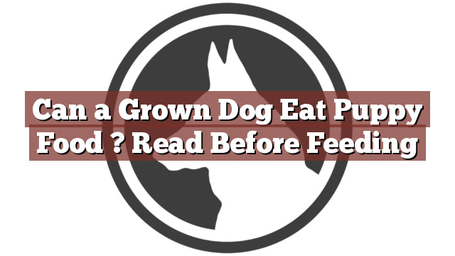 Can a Grown Dog Eat Puppy Food ? Read Before Feeding