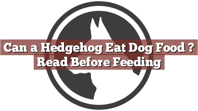 Can a Hedgehog Eat Dog Food ? Read Before Feeding