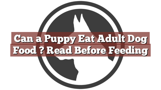 Can a Puppy Eat Adult Dog Food ? Read Before Feeding
