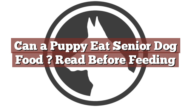 Can a Puppy Eat Senior Dog Food ? Read Before Feeding