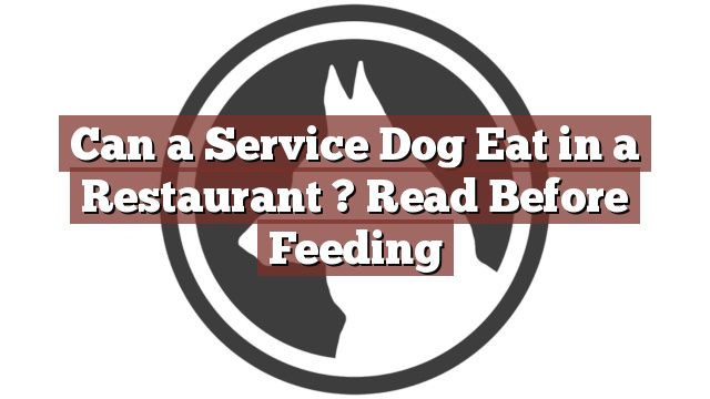 Can a Service Dog Eat in a Restaurant ? Read Before Feeding