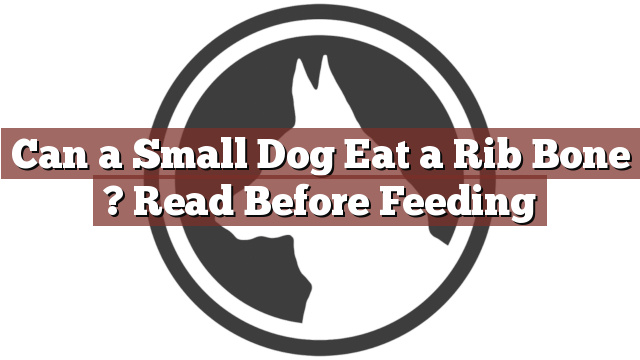 Can a Small Dog Eat a Rib Bone ? Read Before Feeding