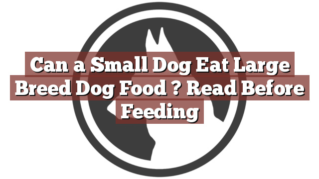 Can a Small Dog Eat Large Breed Dog Food ? Read Before Feeding