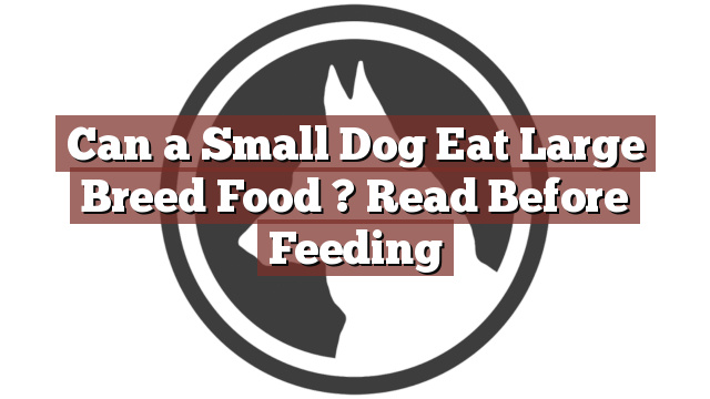 Can a Small Dog Eat Large Breed Food ? Read Before Feeding
