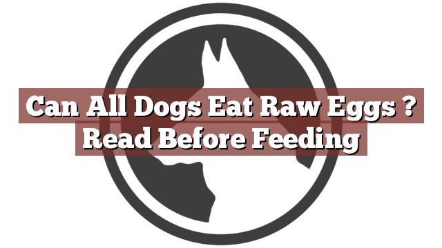Can All Dogs Eat Raw Eggs ? Read Before Feeding