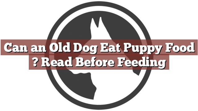 Can an Old Dog Eat Puppy Food ? Read Before Feeding