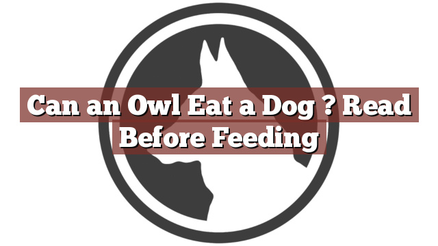 Can an Owl Eat a Dog ? Read Before Feeding