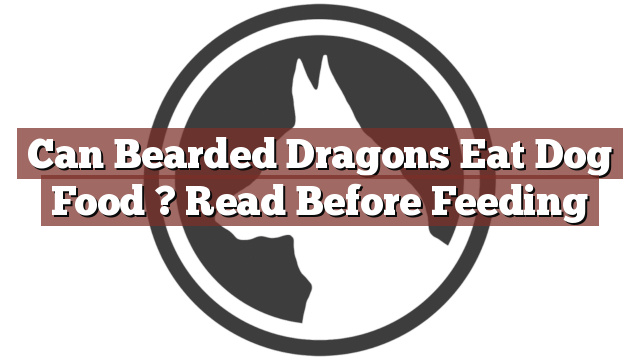 Can Bearded Dragons Eat Dog Food ? Read Before Feeding
