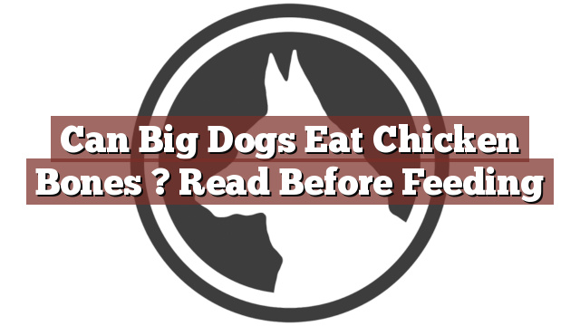 Can Big Dogs Eat Chicken Bones ? Read Before Feeding