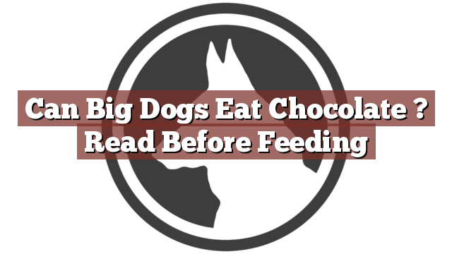 Can Big Dogs Eat Chocolate ? Read Before Feeding