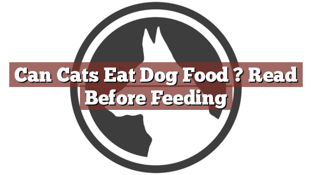 Can Cats Eat Dog Food ? Read Before Feeding