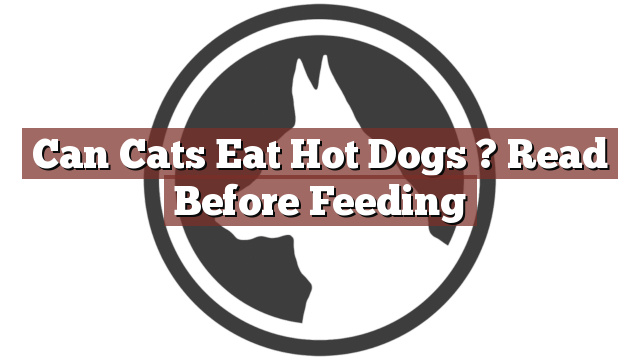 Can Cats Eat Hot Dogs ? Read Before Feeding