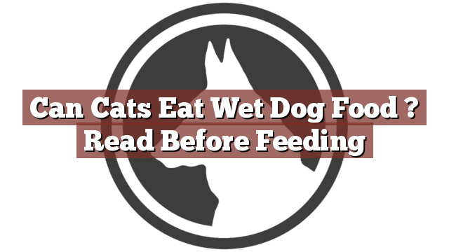 Can Cats Eat Wet Dog Food ? Read Before Feeding