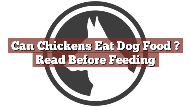 Can Chickens Eat Dog Food ? Read Before Feeding