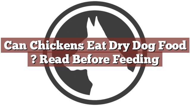 Can Chickens Eat Dry Dog Food ? Read Before Feeding