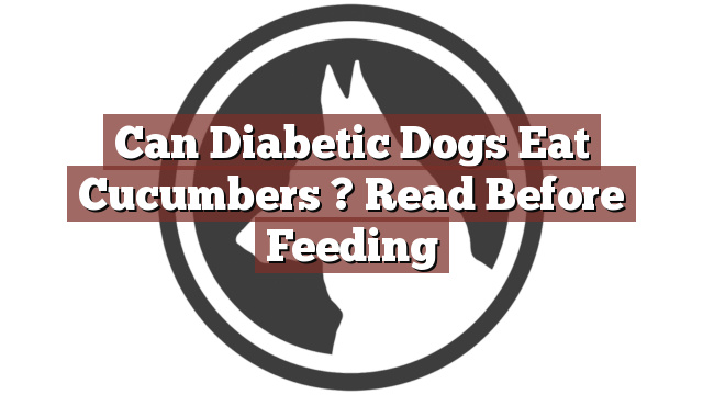 Can Diabetic Dogs Eat Cucumbers ? Read Before Feeding
