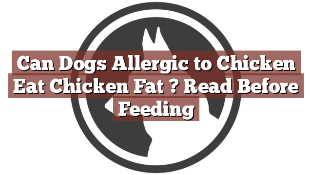 Can Dogs Allergic to Chicken Eat Chicken Fat ? Read Before Feeding