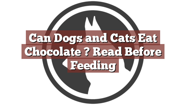 Can Dogs and Cats Eat Chocolate ? Read Before Feeding