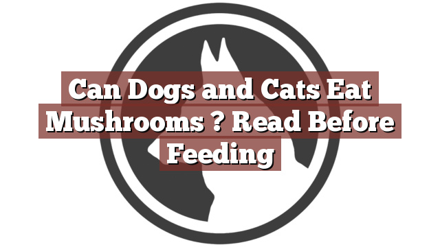 Can Dogs and Cats Eat Mushrooms ? Read Before Feeding