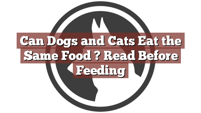 Can Dogs and Cats Eat the Same Food ? Read Before Feeding