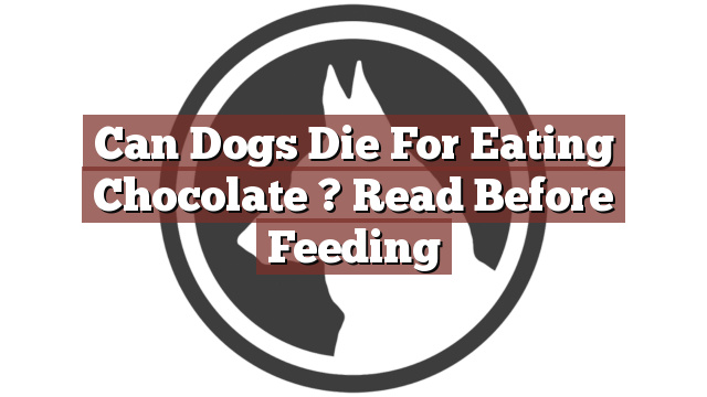 Can Dogs Die For Eating Chocolate ? Read Before Feeding