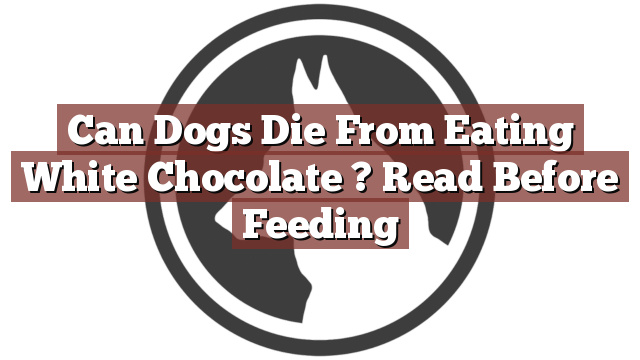 Can Dogs Die From Eating White Chocolate ? Read Before Feeding