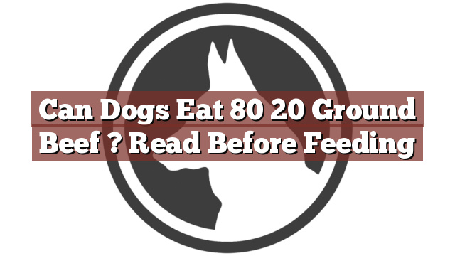 Can Dogs Eat 80 20 Ground Beef ? Read Before Feeding