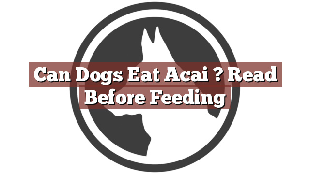 Can Dogs Eat Acai ? Read Before Feeding