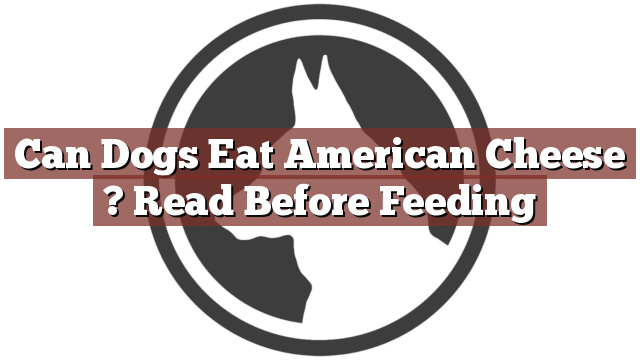 Can Dogs Eat American Cheese ? Read Before Feeding