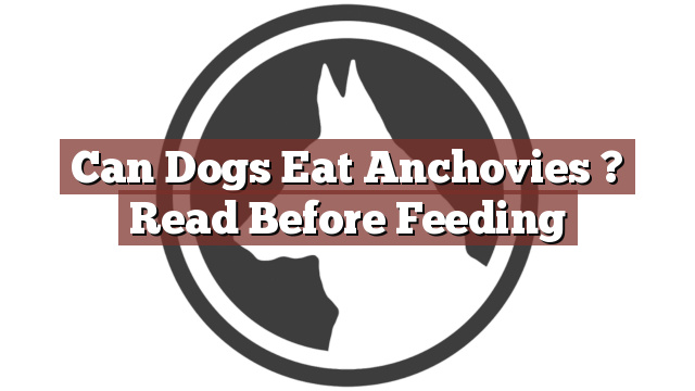 Can Dogs Eat Anchovies ? Read Before Feeding