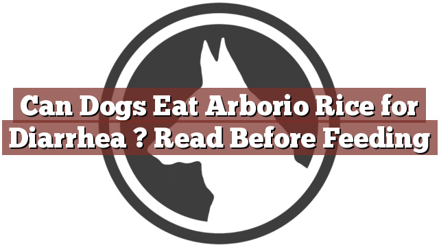 Can Dogs Eat Arborio Rice for Diarrhea ? Read Before Feeding