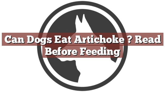Can Dogs Eat Artichoke ? Read Before Feeding
