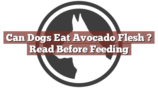 Can Dogs Eat Avocado Flesh ? Read Before Feeding