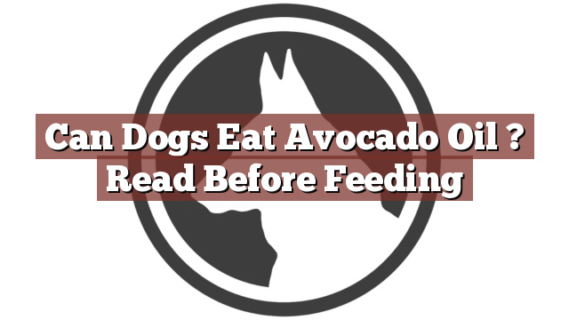 Can Dogs Eat Avocado Oil ? Read Before Feeding
