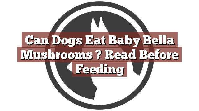 Can Dogs Eat Baby Bella Mushrooms ? Read Before Feeding