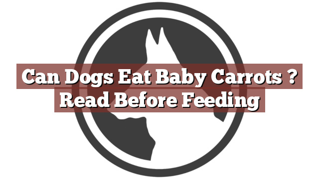 Can Dogs Eat Baby Carrots ? Read Before Feeding