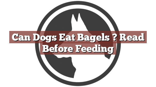 Can Dogs Eat Bagels ? Read Before Feeding