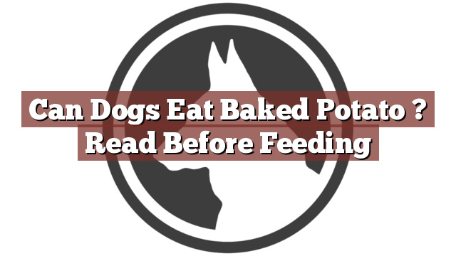 Can Dogs Eat Baked Potato ? Read Before Feeding