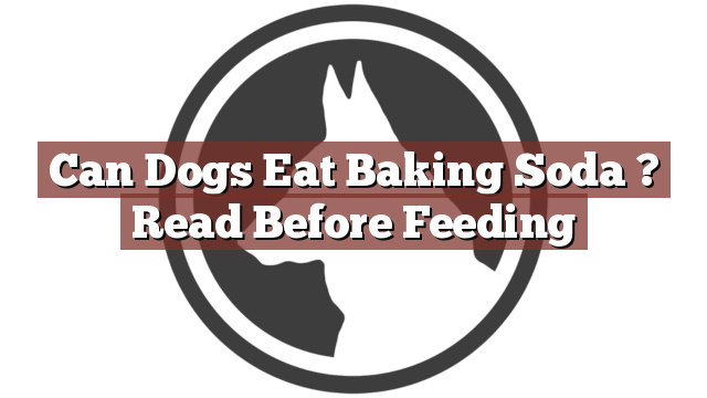 Can Dogs Eat Baking Soda ? Read Before Feeding