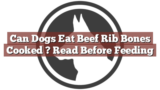Can Dogs Eat Beef Rib Bones Cooked ? Read Before Feeding