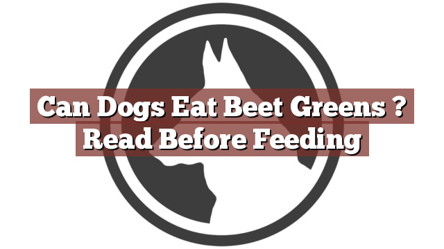 Can Dogs Eat Beet Greens ? Read Before Feeding