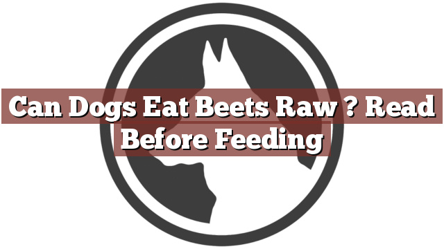 Can Dogs Eat Beets Raw ? Read Before Feeding