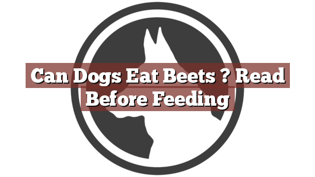 Can Dogs Eat Beets ? Read Before Feeding