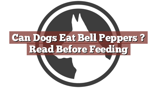 Can Dogs Eat Bell Peppers ? Read Before Feeding